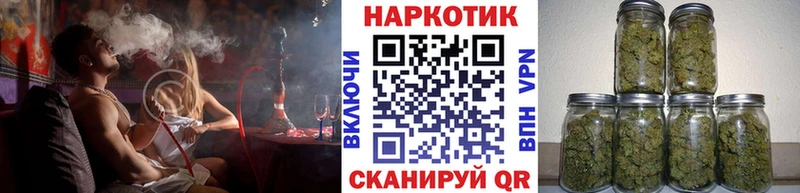 Где можно купить наркотики Новохопёрск Cocaine  Галлюциногенные грибы  Мефедрон 