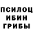 Галлюциногенные грибы Psilocybe Jorge Leiva