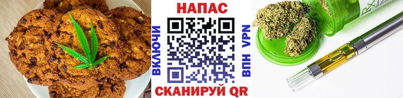 Canna-Cookies марихуана  купить  цена  ОМГ ОМГ ТОР  Новохопёрск 