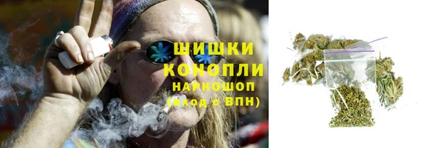 мет Дмитров