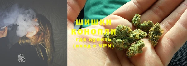 стаф Гусь-Хрустальный