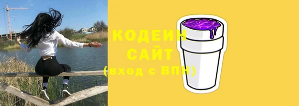 стаф Гусь-Хрустальный