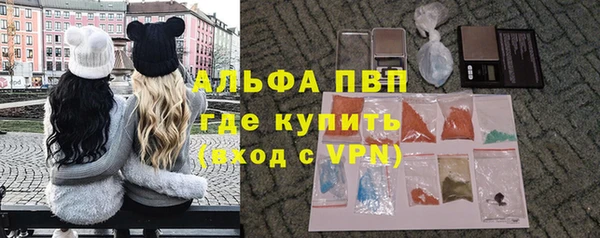 стаф Гусь-Хрустальный