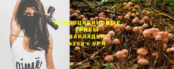 дмт Гусиноозёрск