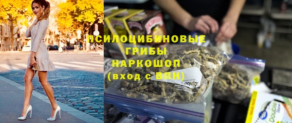 дживик Дмитровск