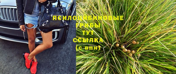 стаф Гусь-Хрустальный