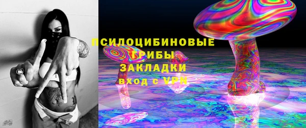 винт Гусев