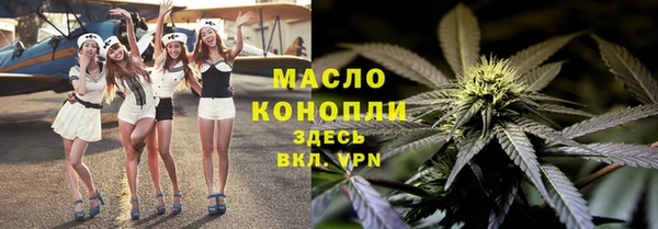 гашик Шали