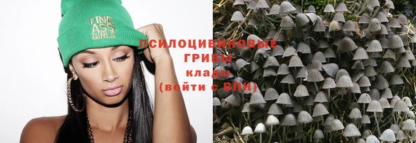 дживик Дмитровск