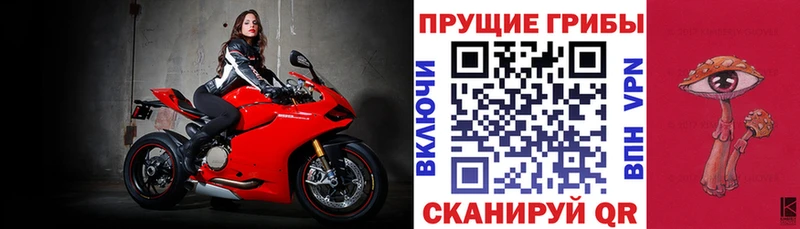 Псилоцибиновые грибы Cubensis  даркнет сайт  MEGA зеркало  Новохопёрск 